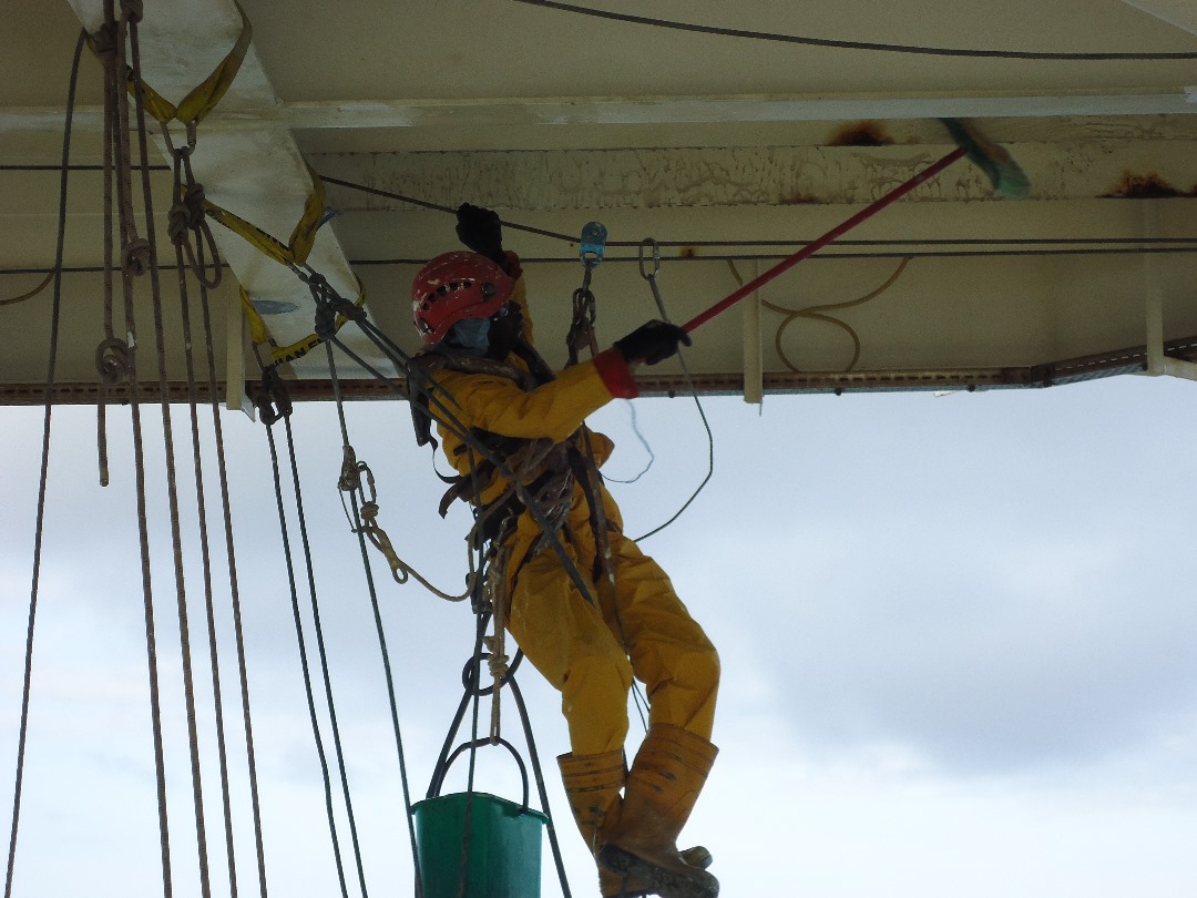 Dbriel Energy Services